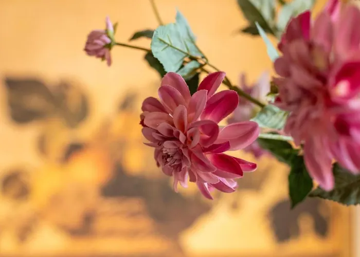 Charmante In Marchesana Mit Terrasse By Interhome Lägenhet